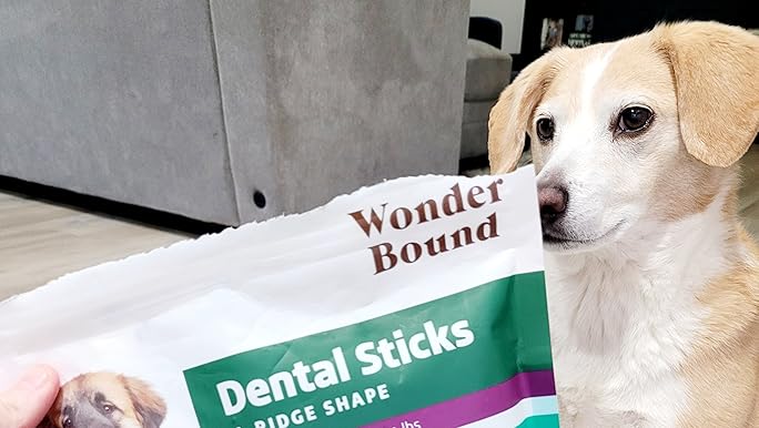 ドッグフード CHAEYOUNG Amazon.com: Wonder Bound Beef Flavor Dental Sticks for Tiny